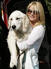 Nicollette Sheridan's Favorite 'Son'