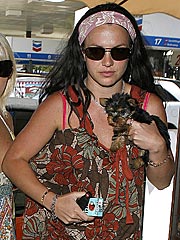 Britney Spears Cleared in Dog-Care Case