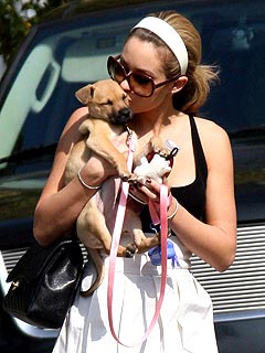 Lauren Moves, Gets New Roomies & a Puppy