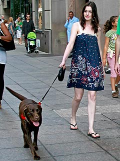 Anne Hathaway and Her Ex: Who'll Get the Dog?