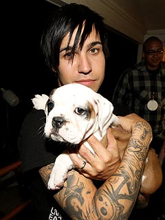 Pete Wentz Adopts a Baby ... Puppy!