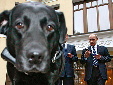 Russia's Top Dog Gets Sat Nav