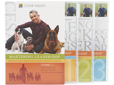 Calm, Assertive Training DVD