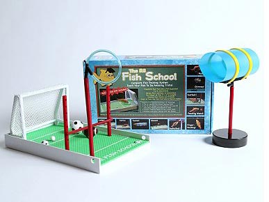 Wacky Toy Teaches Pet Fish A Few Tricks!