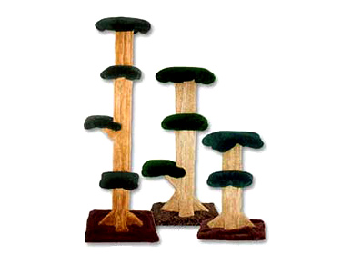 A Mushroom Your Cat Can Climb On