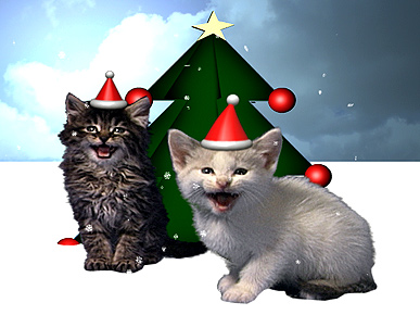 Jingle Meows, Jingle Meows, Jingle All the Way!