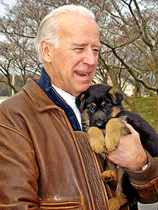 Biden Will Get a Second Dog From the Pound