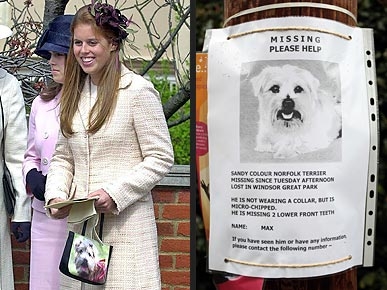 Royal Pup on the Lam
