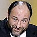 Sopranos, 30 Rock Win Screen Actors Guild Awards | James Gandolfini