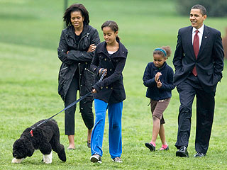 5 Things You Don't Know About First Dog Bo