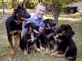 Five Puppies Cloned from 9/11 Hero Dog