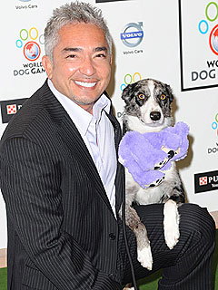 PEOPLE Pets: What You Don't Know About Cesar Millan