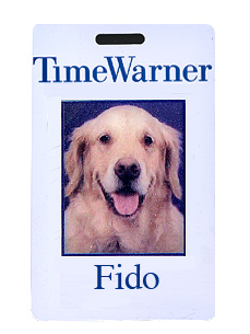 Service Dog, Therapy Dog Or a Fraud?