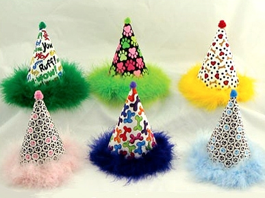 Get Your Pet a New Year's Party Hat!