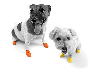 Finally, Rubber Booties Your Dog Will Actually Wear!