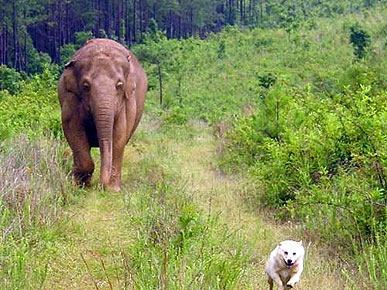 When Bella Met Tarra