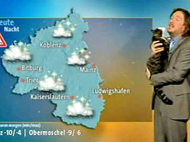 Cat Rains on German Weatherman's Newscast