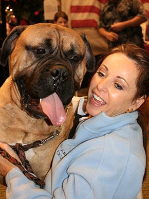Westminster Dog to Watch: Ch. Starrdogs He's a Player