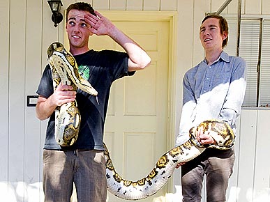 Sneaky Snakes Found After 24 Hours on the Lam