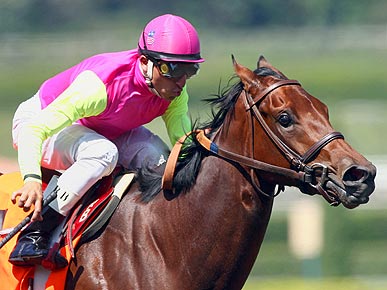 PEOPLE's Tom Gliatto TV Review: Jockeys on Animal Planet