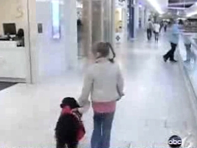 Dog's Peanut-Sniffing Skill Keeps Little Girl Alive