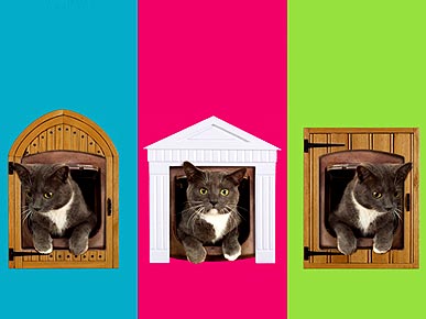 A Posh Entrance for Your Puss