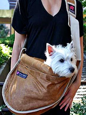 Sling for Pups: Get Carried Away!
