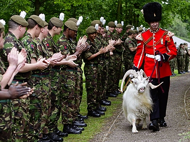 Bye-Bye, Billy! Mascot Goat Bids Farewell to the Army