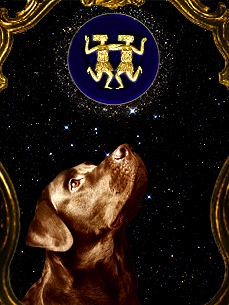 Dog Horoscope: Gemini (May 20-June 19)