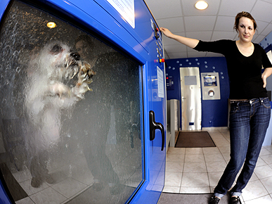 Outrageous Find: The Dog-O-Matic Washing Machine