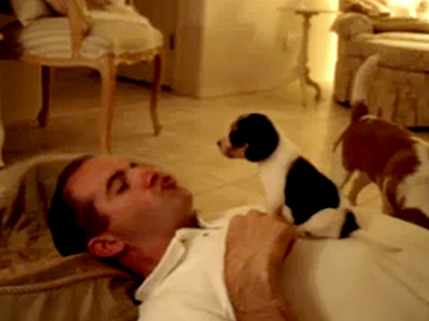 Tuesday's Funny Video: Beagle Puppy Singing Lessons