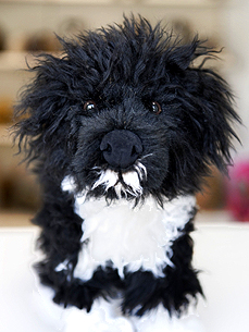 Bo Mania Rages On: Plush Toy Debuts!