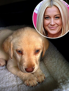 Kellie Pickler Adds New Puppy Nala to Her Brood