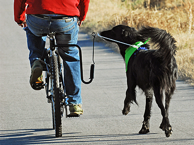 Quick Hits: China Mulls Anti-Cruelty Laws; Plus, Kitty Dumped in Mailbox Needs Home