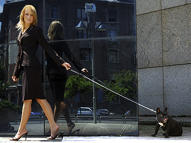 7 Doggie Don'ts for Take Your Dog to Work Day