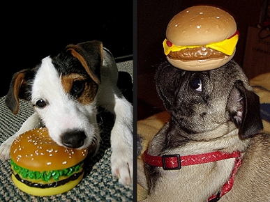 Happy Fourth! Is Your Hot Dog Going to a BBQ?