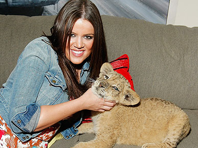Khloe Kardashian Calls Cuddling with a Lion Cub 'Amazing'
