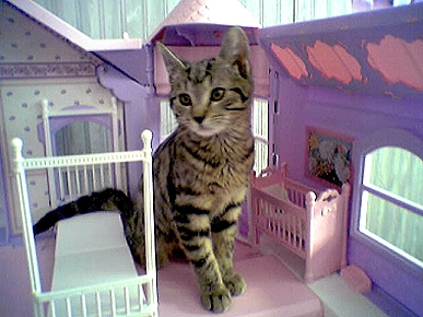 Caption Contest: What's This Homebody Saying?