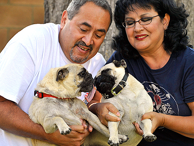 Happy Reunion! Missing Pug Back Home After Four Years