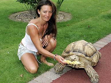 Tortoise Heist! Stolen Turtle Is Returned to Rightful Owner