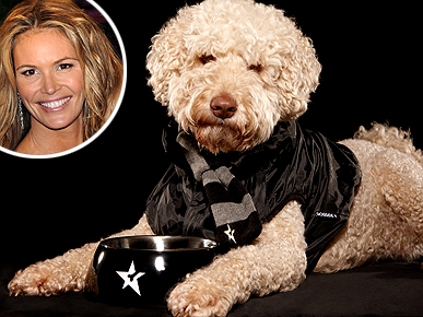 Model Mutt! Elle Macpherson's Dog Lands Modeling Contract