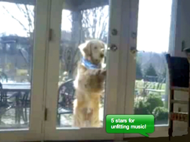 Wednesday's Funny Video: Doggy Door Not Required!