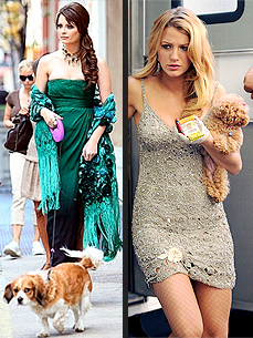 Who's a More Glamorous Dog Mom: Mischa Barton or Blake Lively?
