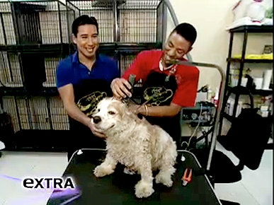 Sneak Peek: Mario Lopez Learns Dog Grooming from a Pro