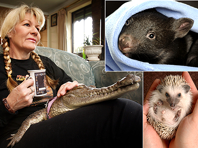 POLL: Skunks and Crocs As Pets – Wild or Just Plain Weird?