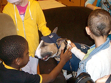Canine Champ Bring Smiles to Sick Kids at the Ronald McDonald House