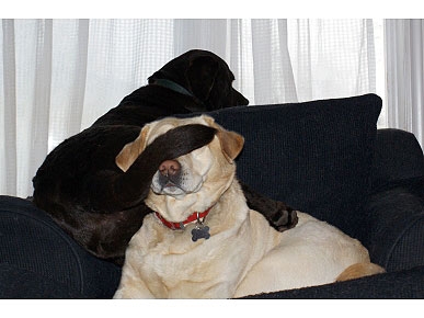 Congrats, Cherish! You Win This Week's Caption Contest!
