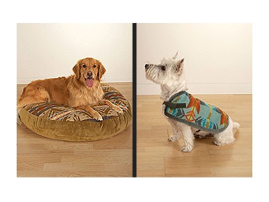 Jill Rappaport's Pet Gear for Pendleton: Chic and Charitable