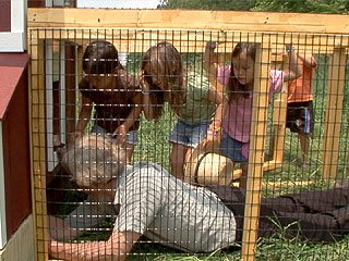 Kate Gosselin’s Summer To-Do List: Chicken Coop and Paparazzi Proofing
