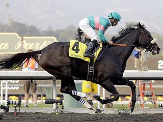 Zenyatta Breeders Cup 2010 Star